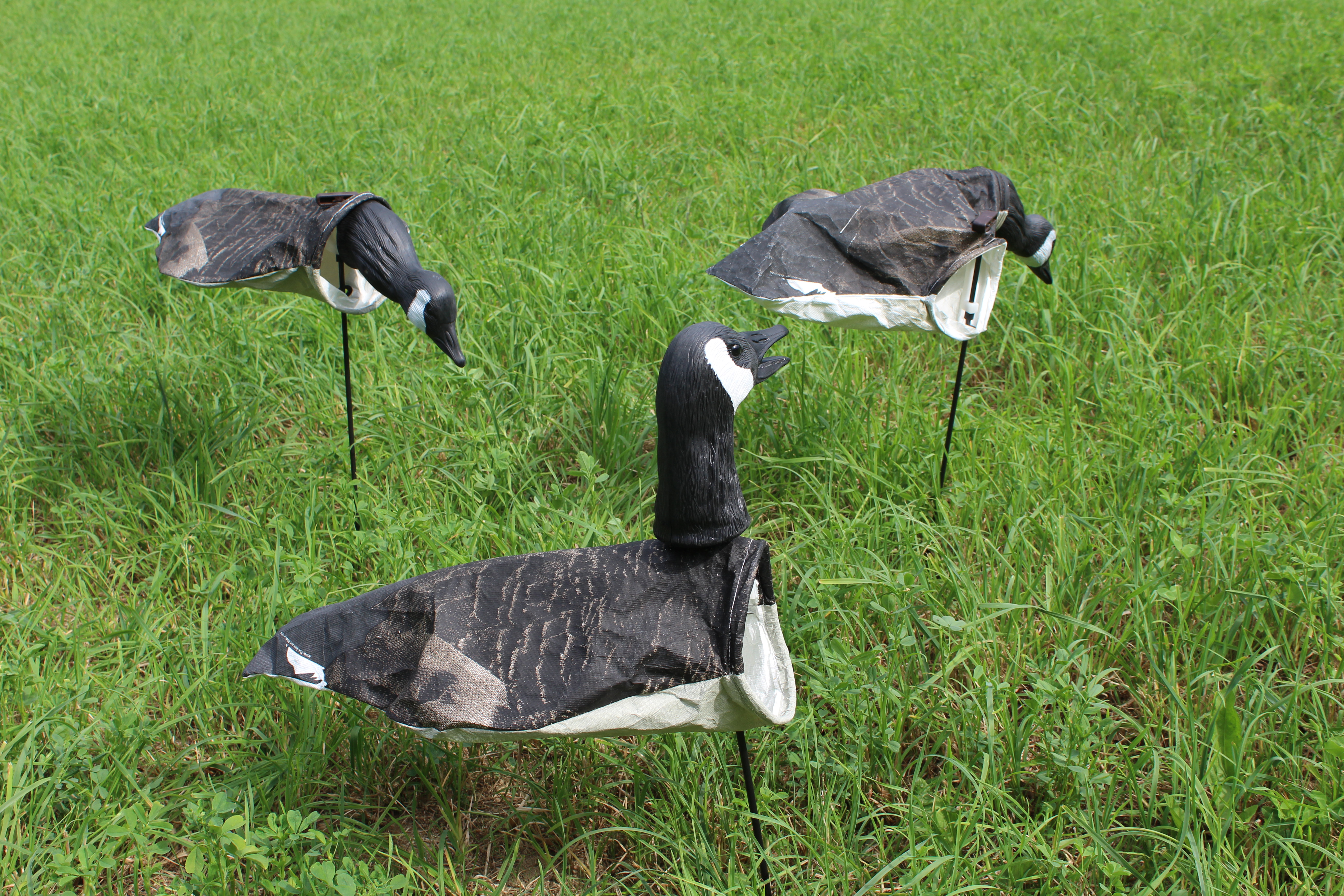 Canada Goose Painted Head Series Decoy American Made Decoys Anser Decoys